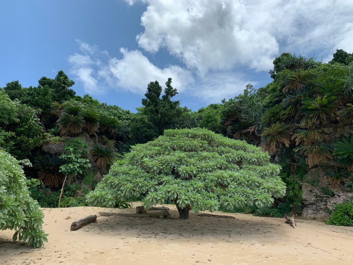 Villa Sound Of The Surf Ishigaki  Εξωτερικό φωτογραφία